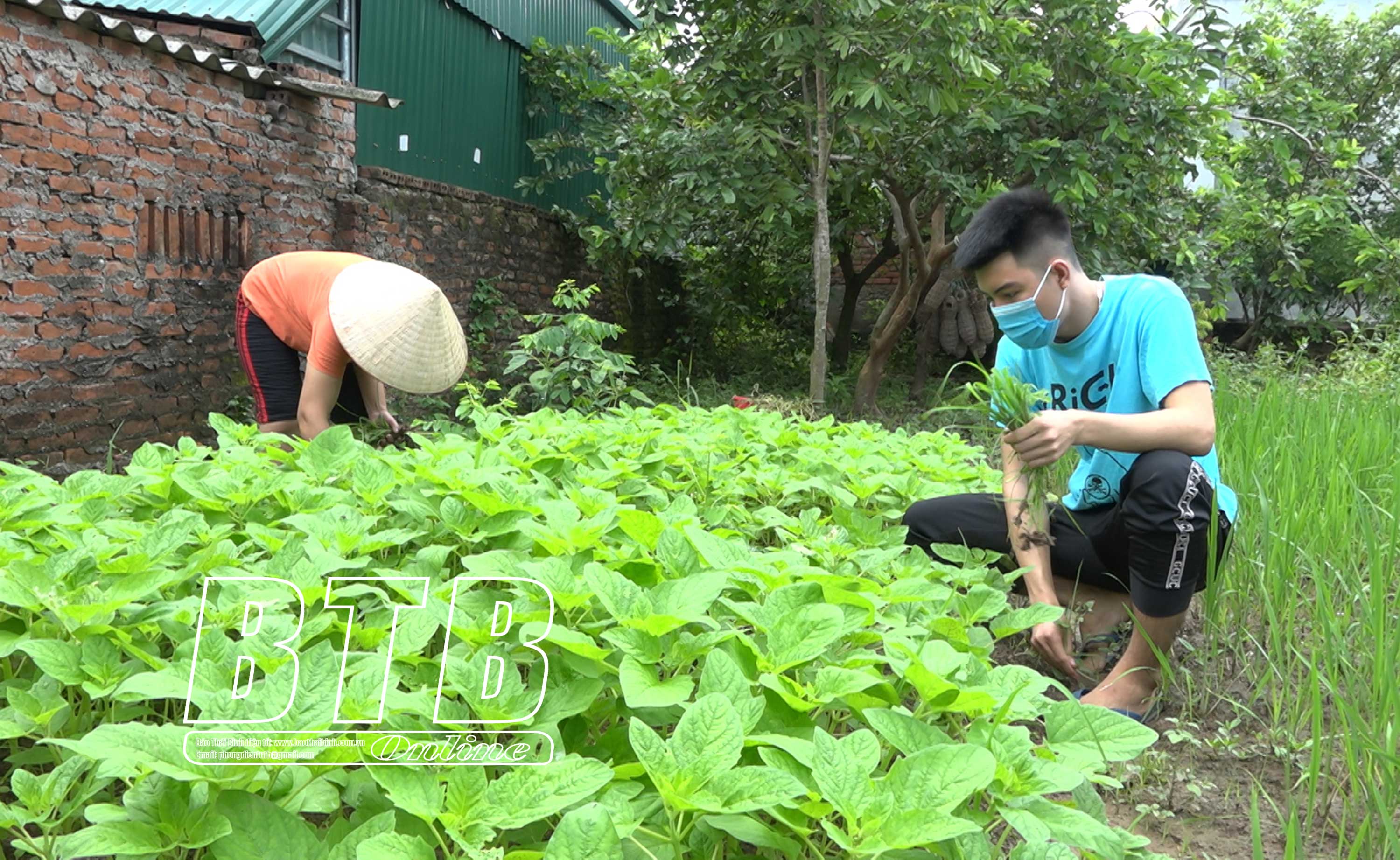 Media/385_hoikhuyenhocthaibinh/FolderFunc/202109/Images/8-20210916090203-e.jpg